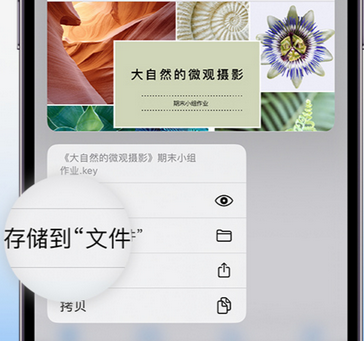 全椒apple维修中心分享iPhone文件应用中存储和找到下载文件