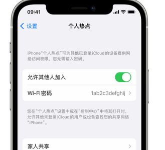 全椒apple服务站点分享iPhone上个人热点丢失了怎么办