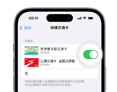 全椒apple维修点分享iPhone上更换Apple Pay快捷交通卡手绘卡面 