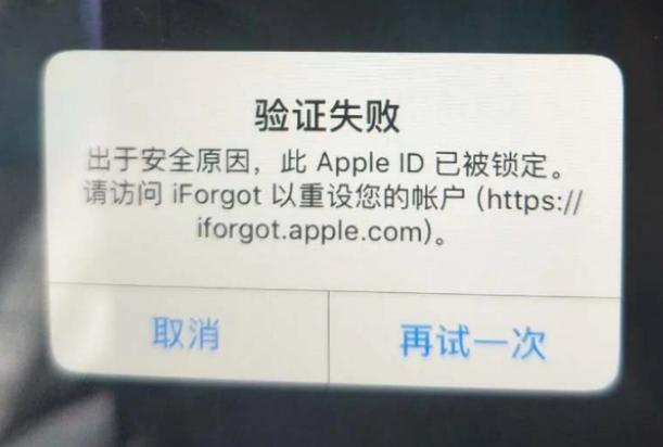 全椒iPhone维修分享iPhone上正常登录或使用AppleID怎么办 