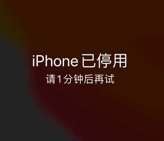 全椒苹果手机维修分享:iPhone 显示“不可用”或“已停用”怎么办？还能保留数据吗？ 