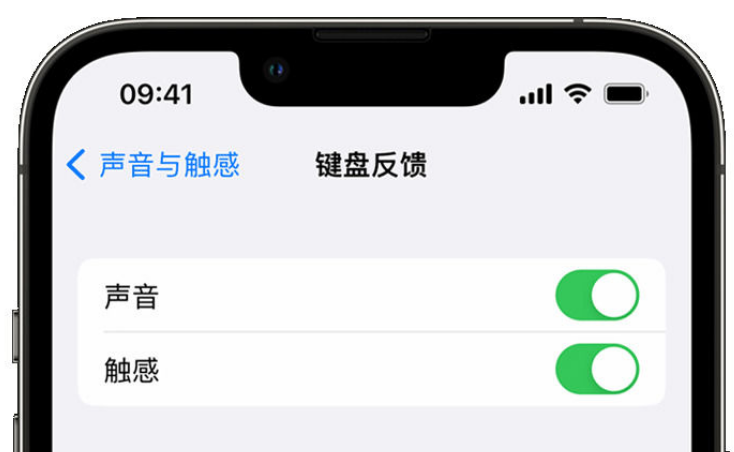 全椒苹果手机维修分享iPhone 14触感键盘使用方法 