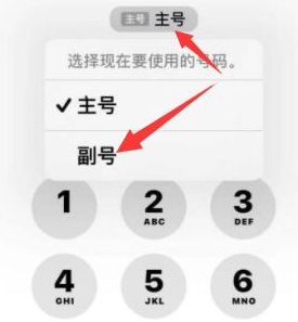 全椒苹果14维修店分享iPhone 14 Pro Max使用副卡打电话的方法 