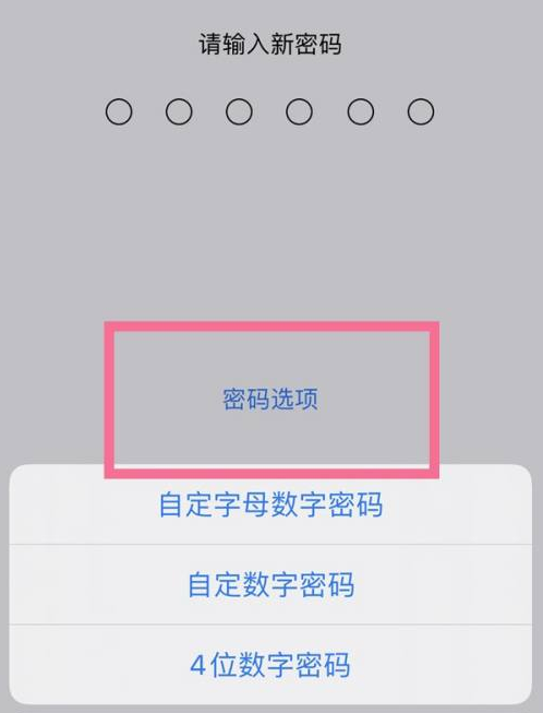 全椒苹果14维修分享iPhone 14plus设置密码的方法 