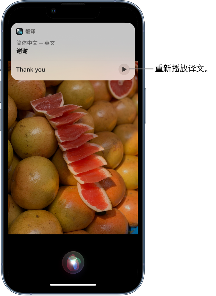 全椒苹果14维修分享 iPhone 14 机型中使用 Siri：了解 Siri 能帮你做什么 