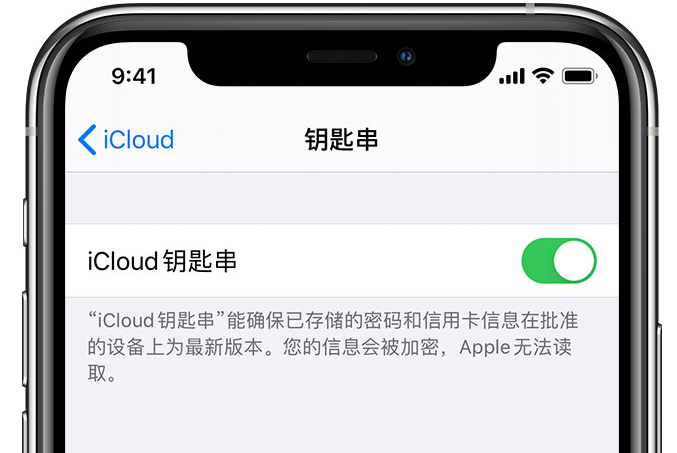 全椒苹果手机维修分享在 iPhone 上开启 iCloud 钥匙串之后会储存哪些信息 